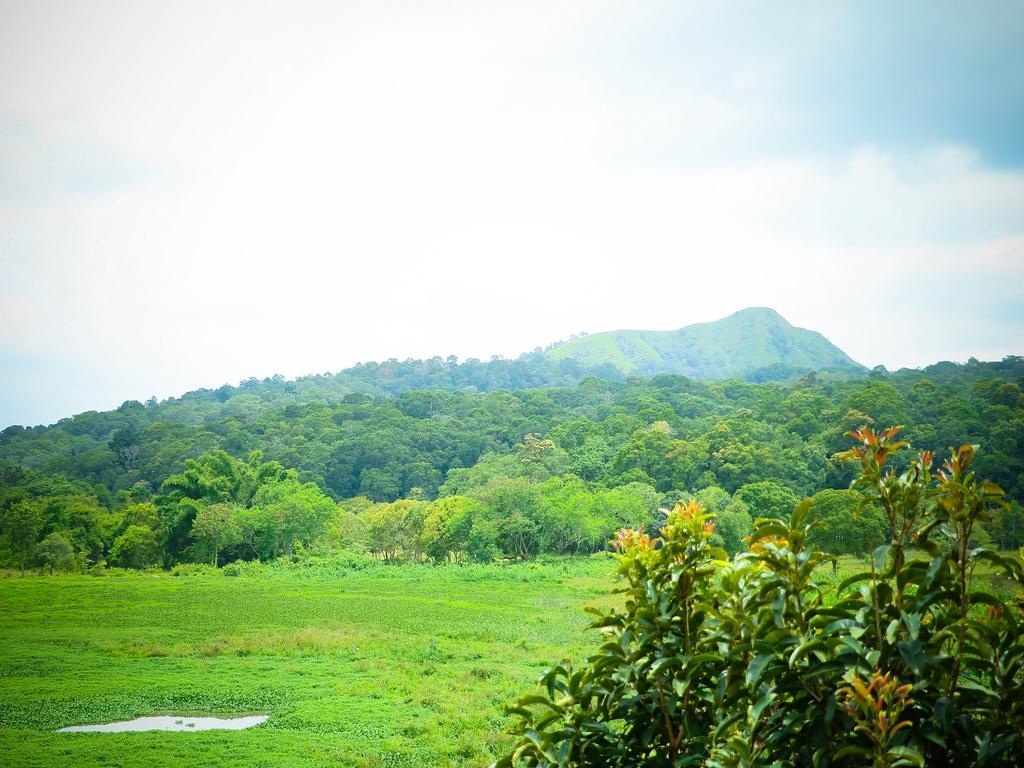 Kerala House Daire Thekkady Dış mekan fotoğraf